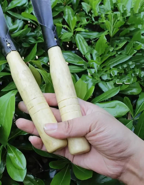 Load image into Gallery viewer, Multifunctional Garden Tool Shovel Dig Wild Vegetables Drive Sea Plant Flowers Shovel Soil Thickening Iron Hoe Weeding Shovel

